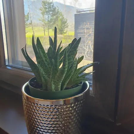 Resort Zax B7 In Terra Complex Bansko