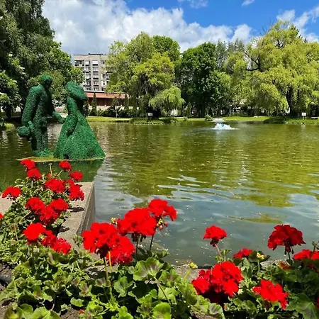 Zax B7 In Terra Complex *