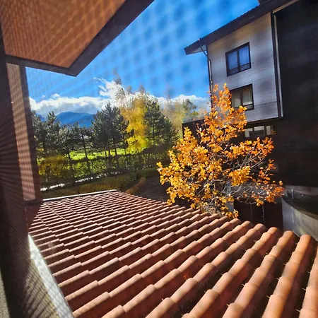 Zax B7 In Terra Complex *