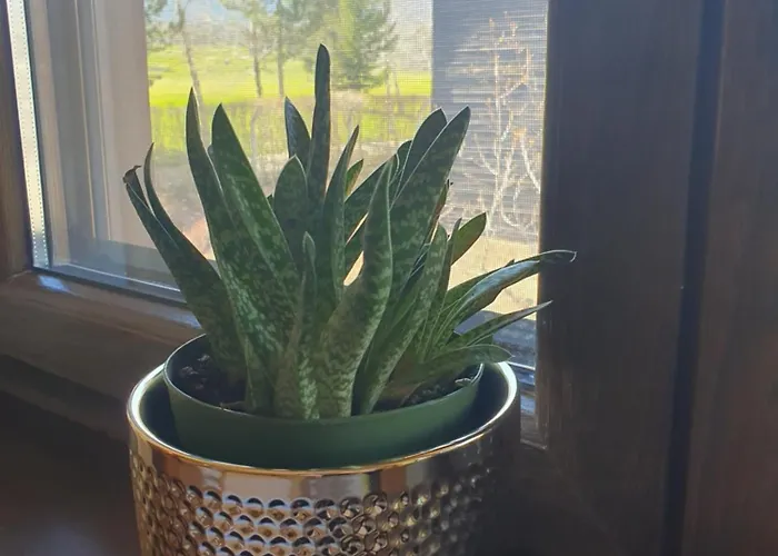 Üdülőközpont Zax B7 In Terra Complex Banszko